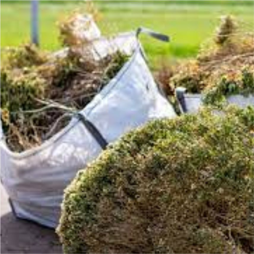 Surrey Garden Clearance Services Surrey Garden Clearance Services