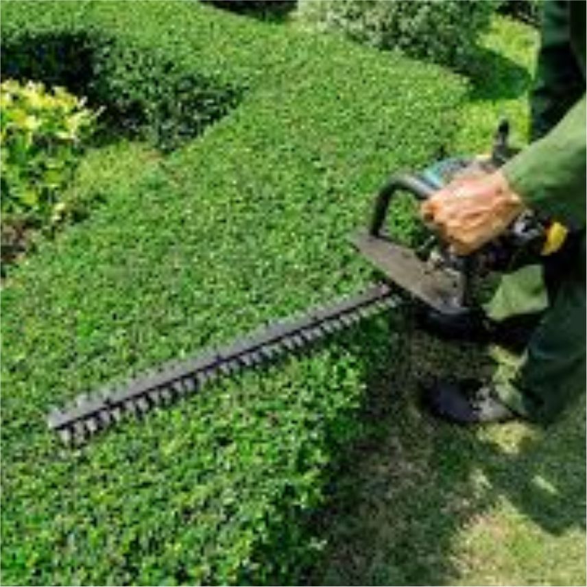 Precision Hedge Cutting Surrey Precision Hedge Cutting Surrey