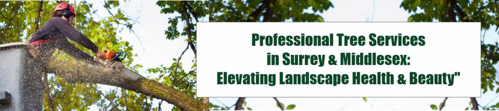 Professional Tree Services Middlesex